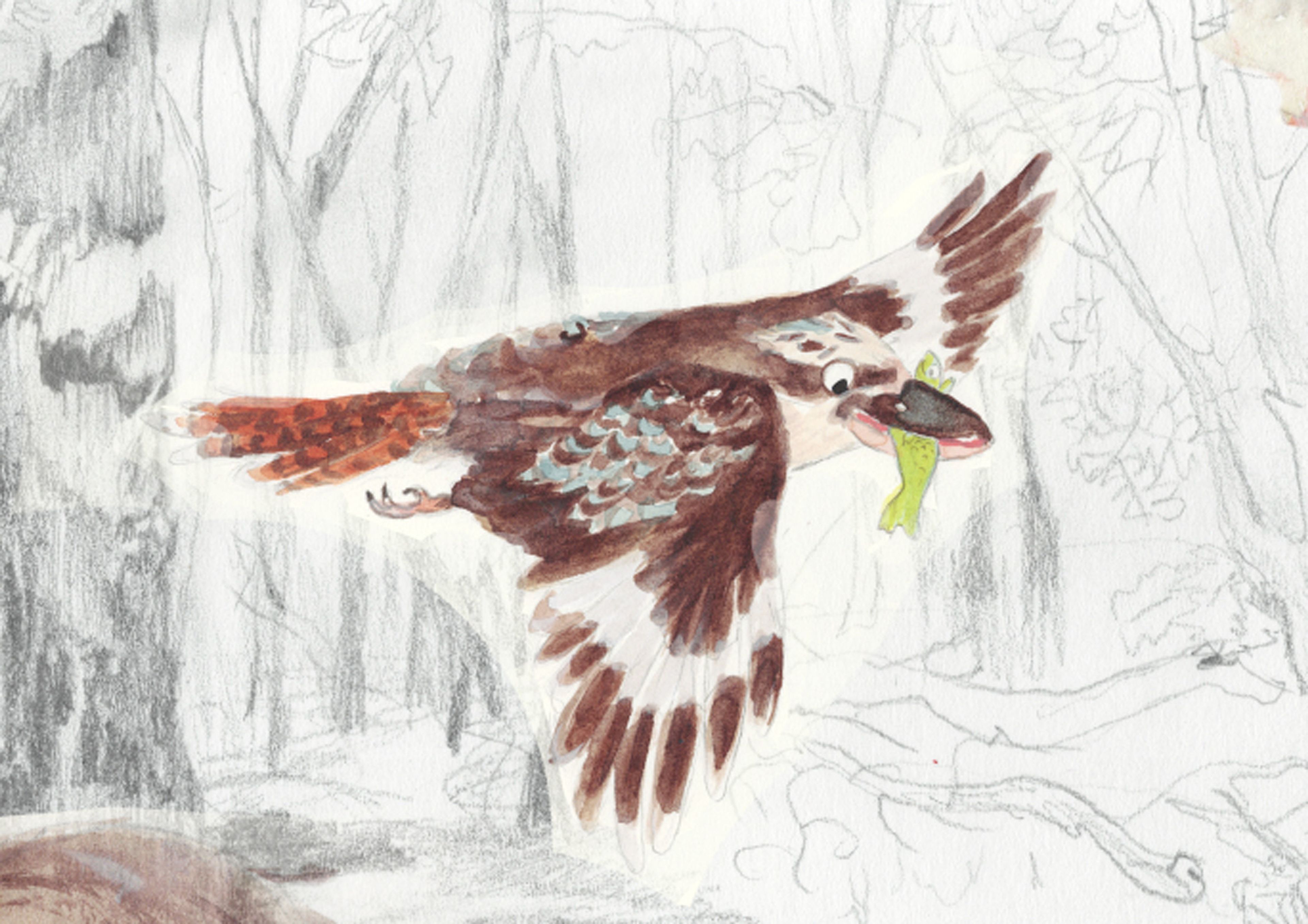 A still from Claudia Nicholson's artwork 'Oh.', an animated short film with a watercolour, pencil and digital collage of Australian animals in the bush.