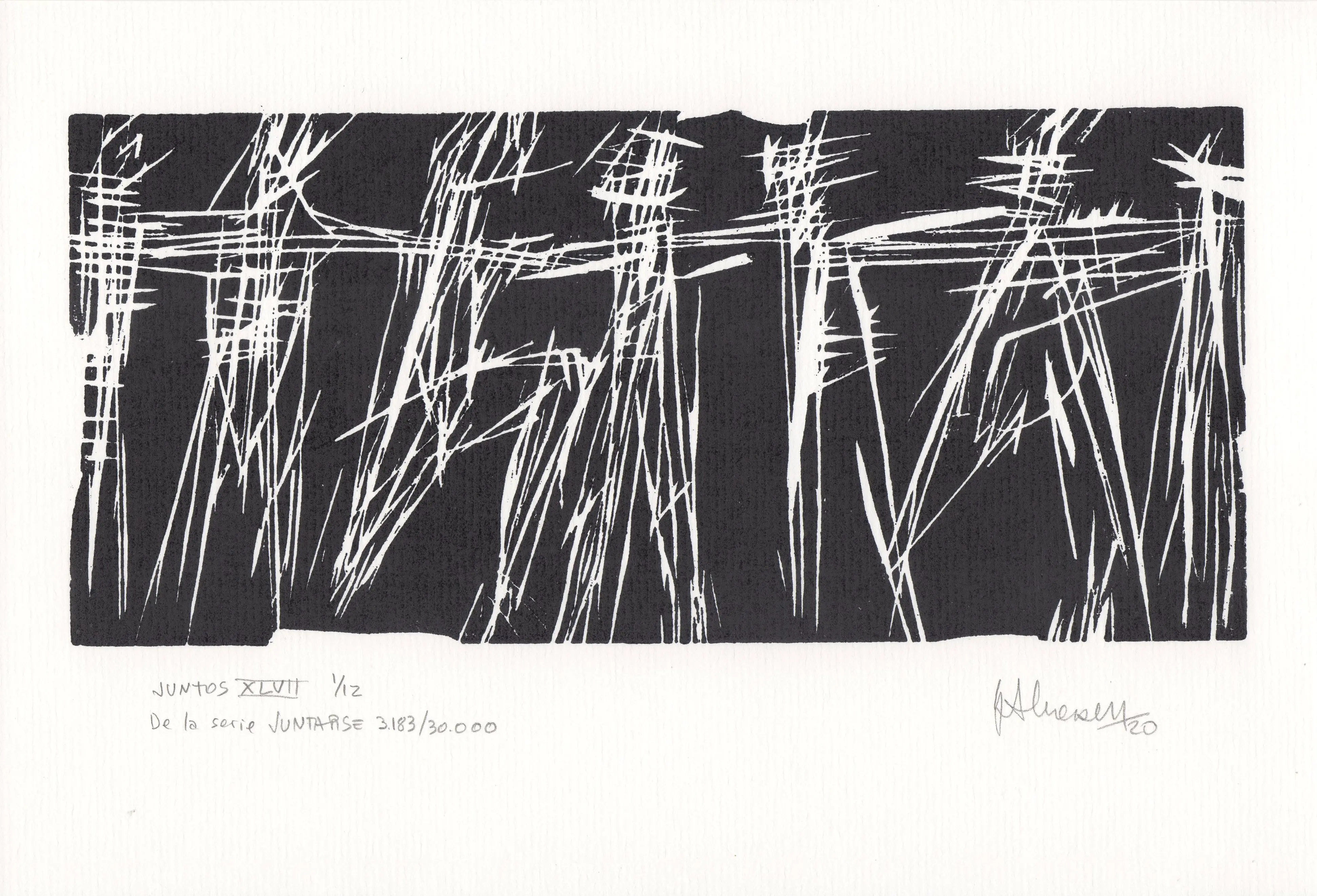 JUNTOS XLVII De la serie JUNTARSE 3.183 al 3.194/30.000