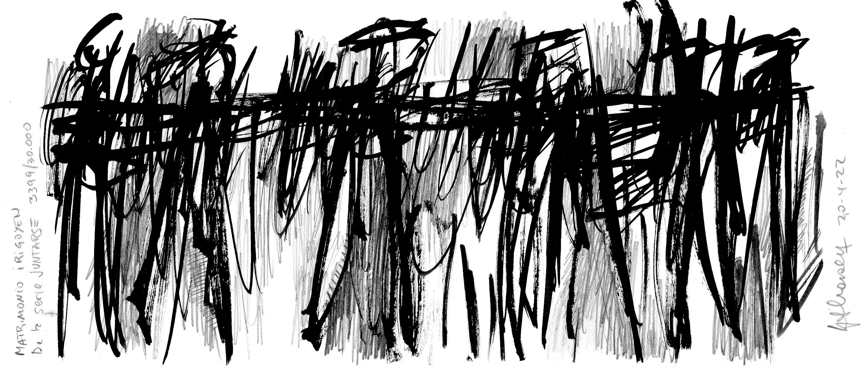 Matrimonio Irigoyen.  De la serie JUNTARSE 3.399/30.000