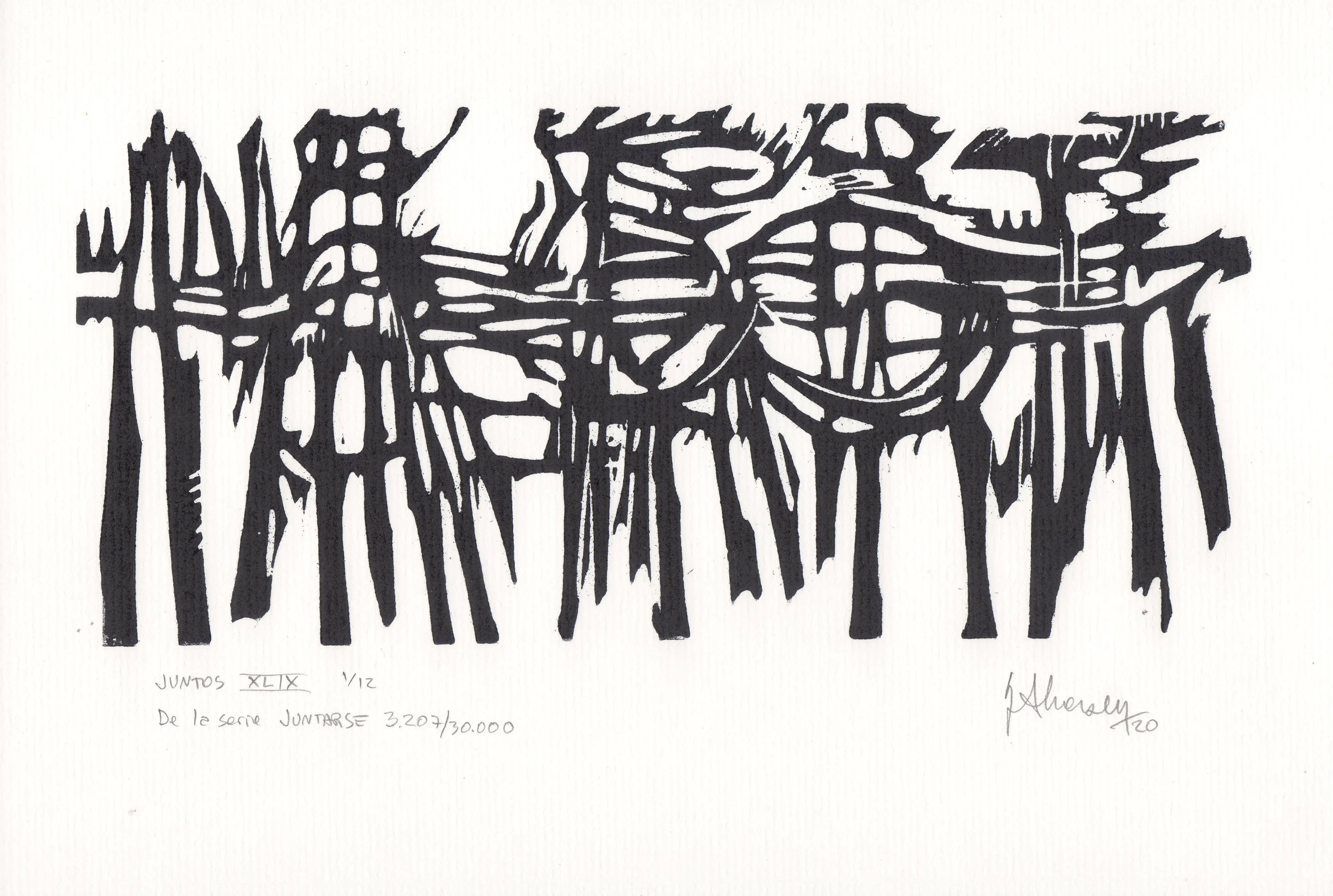 JUNTOS XLIX De la serie JUNTARSE 3.207 al 3.218/30.000