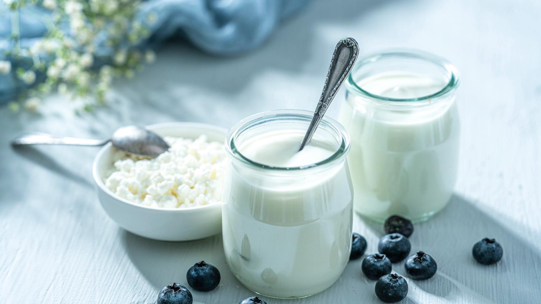 Kefir Benefits: Why It's More Than Just Curd | Dr Pal's NewME