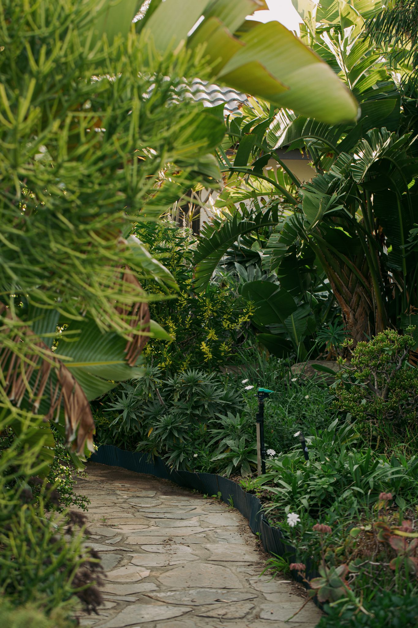 West Lakes Shore, Garden