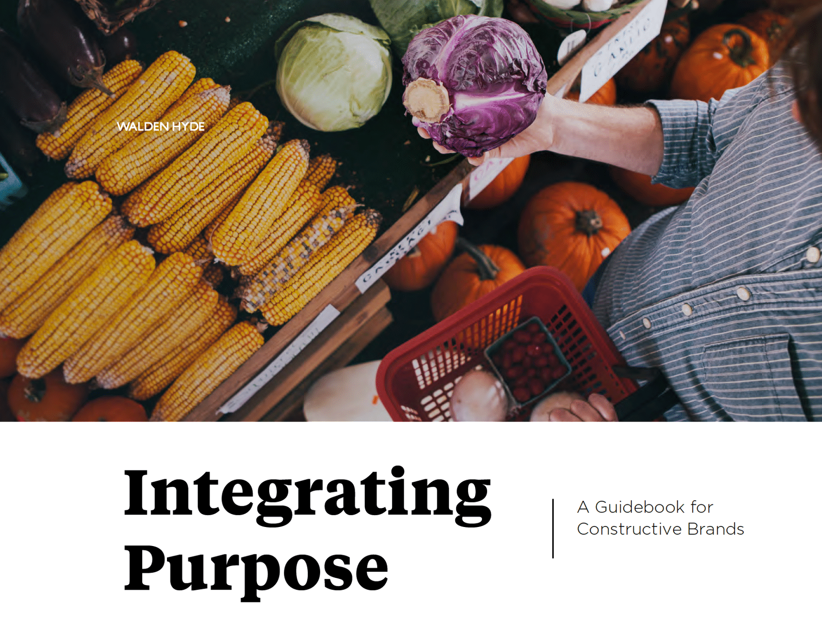 Integrating Purpose Guidebook