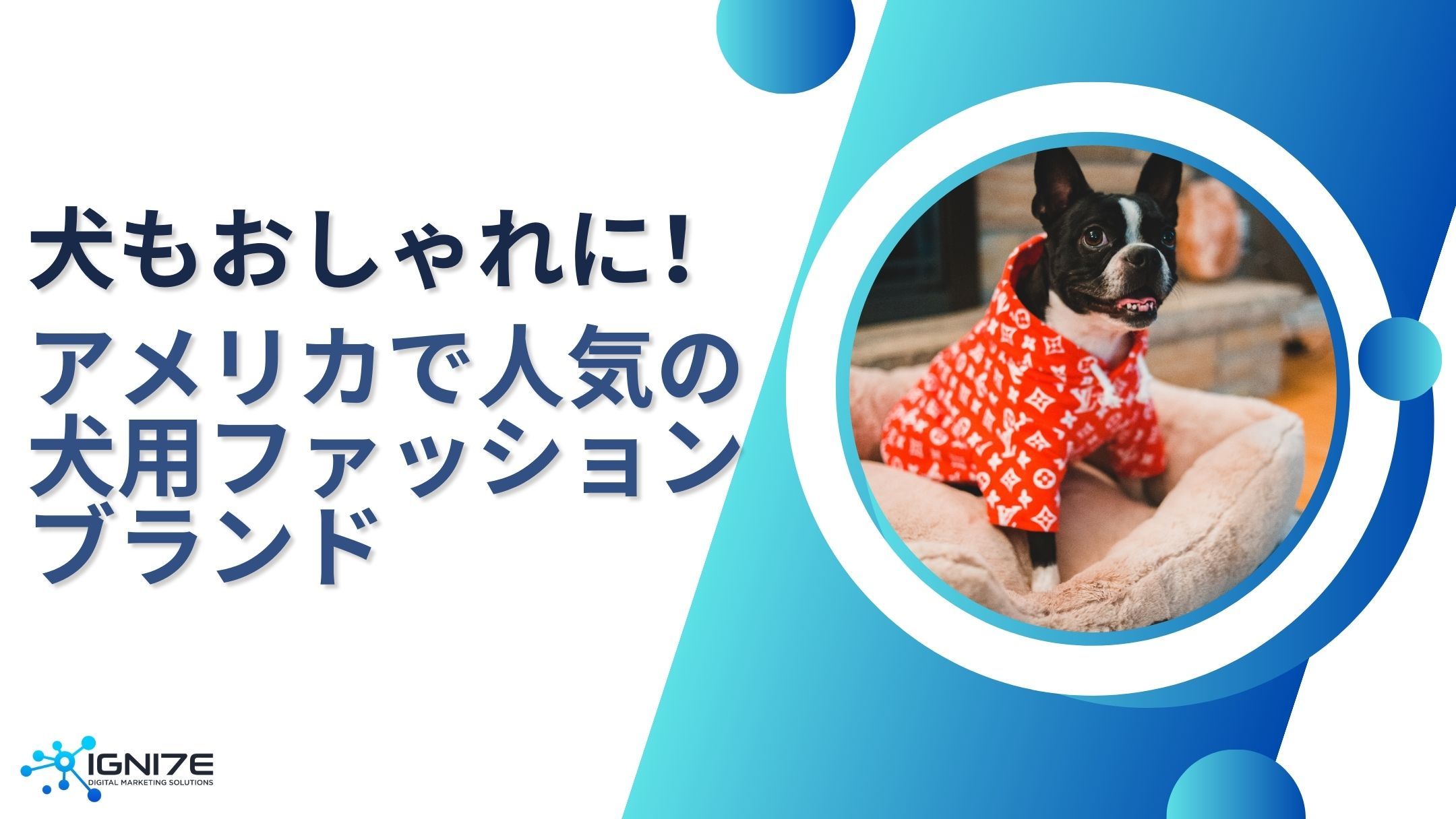 自慢のワンちゃんもおしゃれに！アメリカで人気の犬用ウェアブランド8選