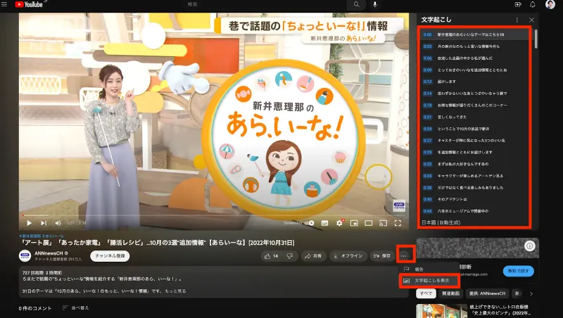 文字起こし表示