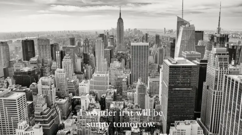 白黒のデザイン