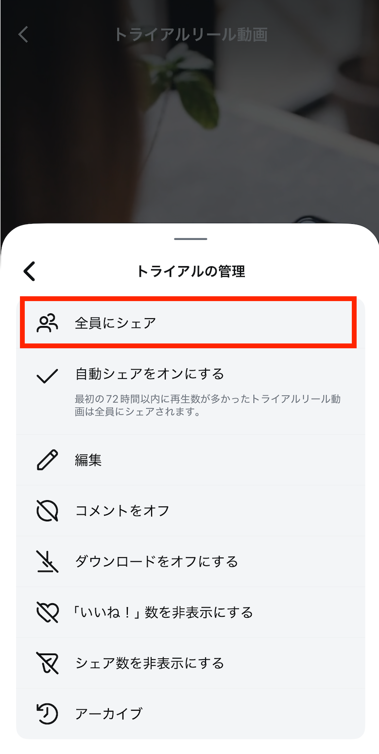 記事内画像