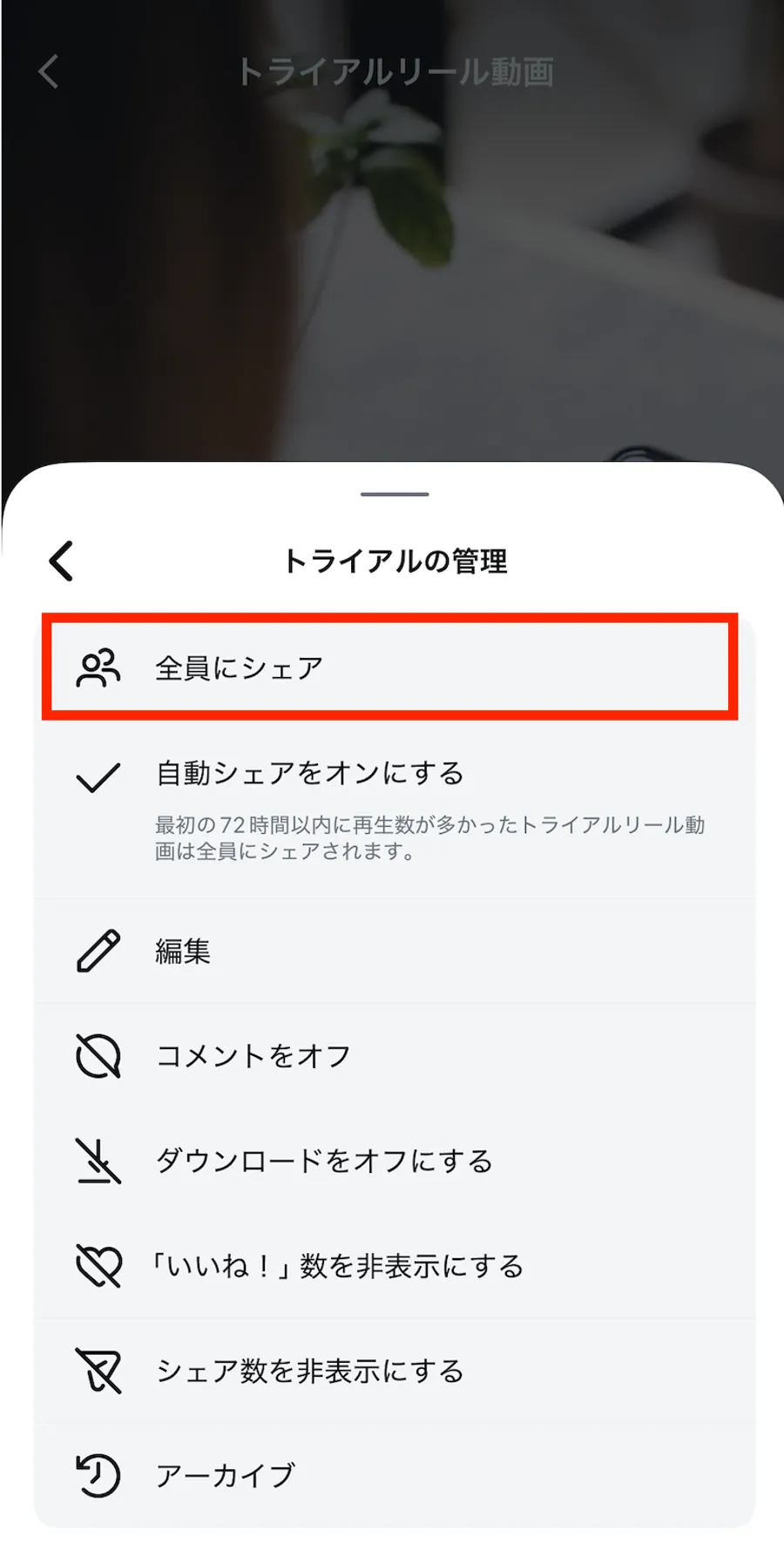 記事内画像