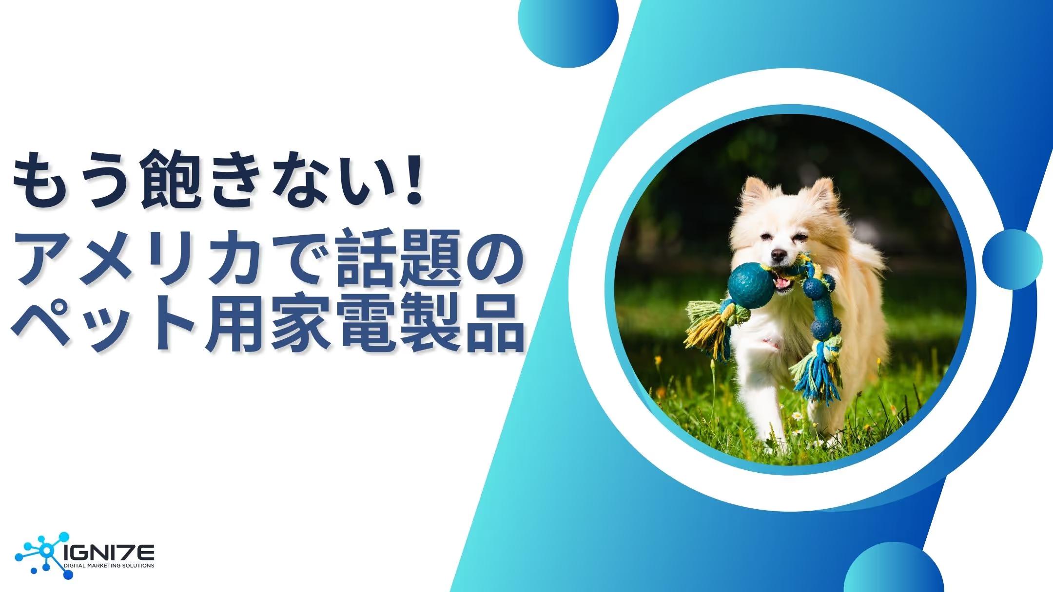 【2025年最新版】アメリカで注目のペットテック家電7選