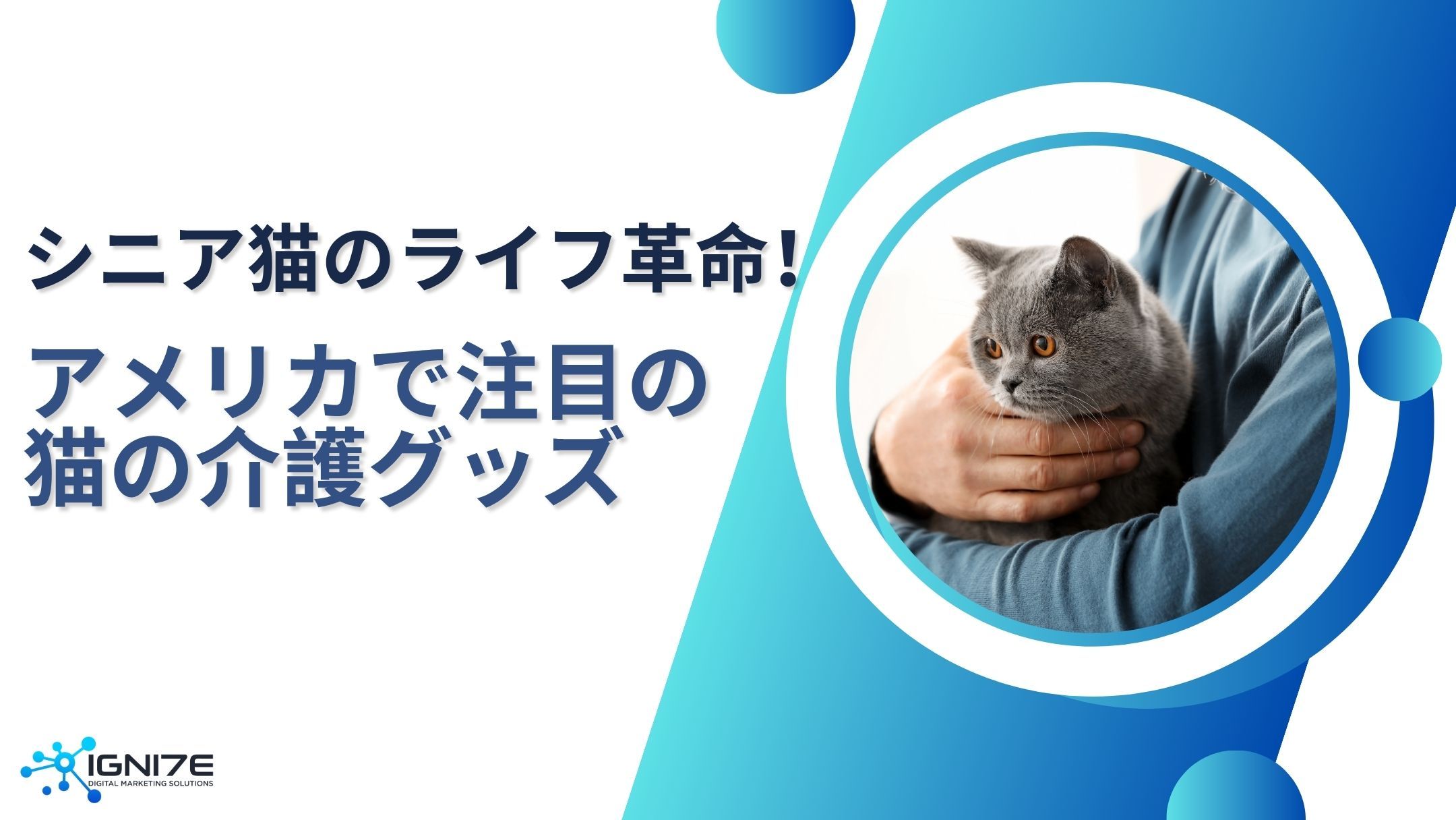 シニア猫の快適ライフ革命！アメリカで話題の介護アイテム5選