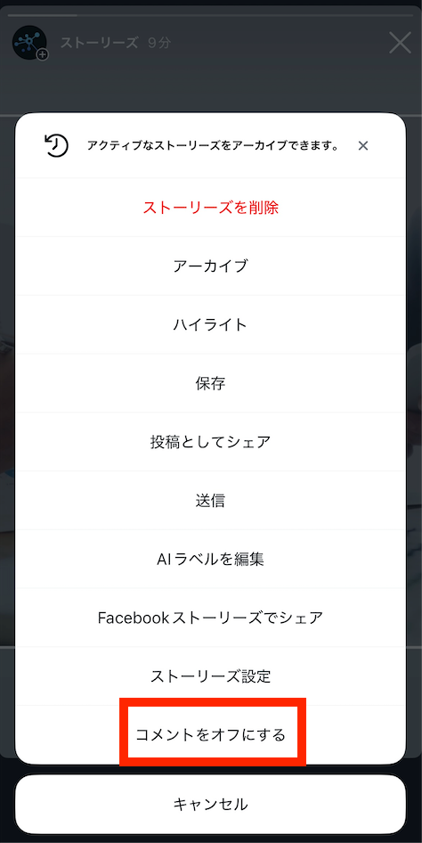 記事内画像