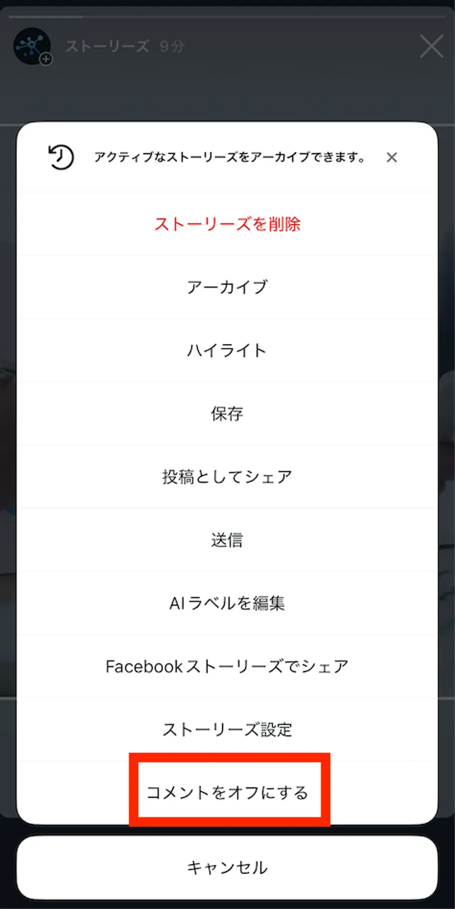 記事内画像