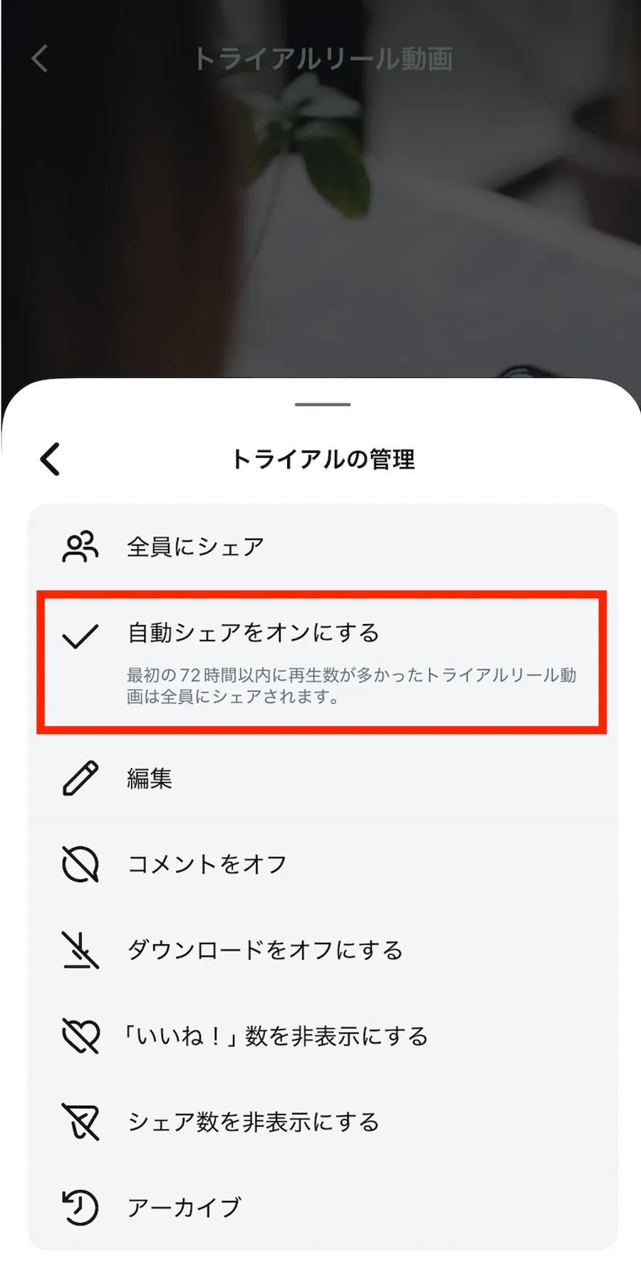 記事内画像