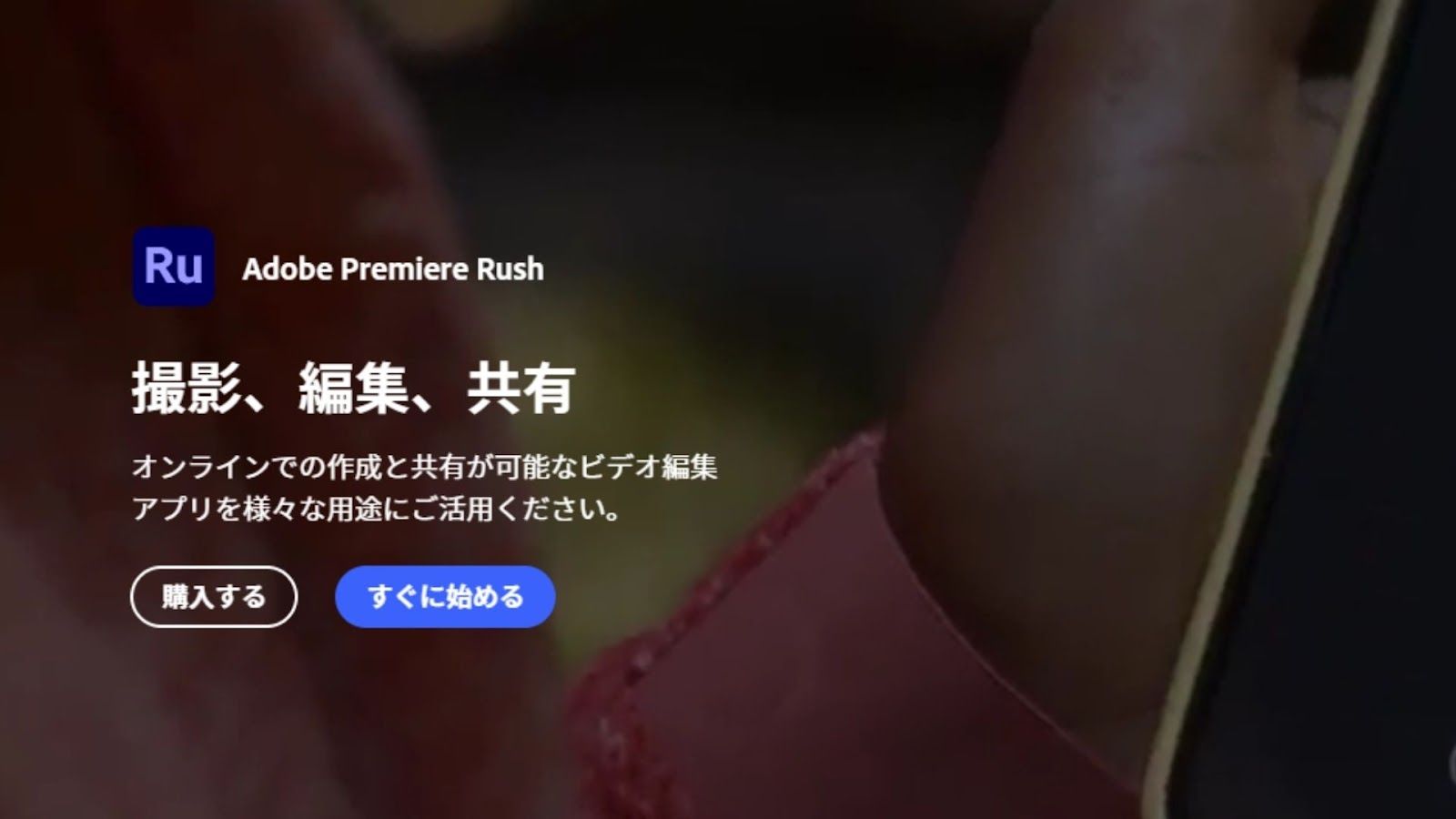 記事内画像