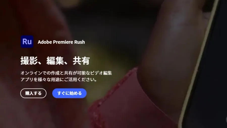 記事内画像