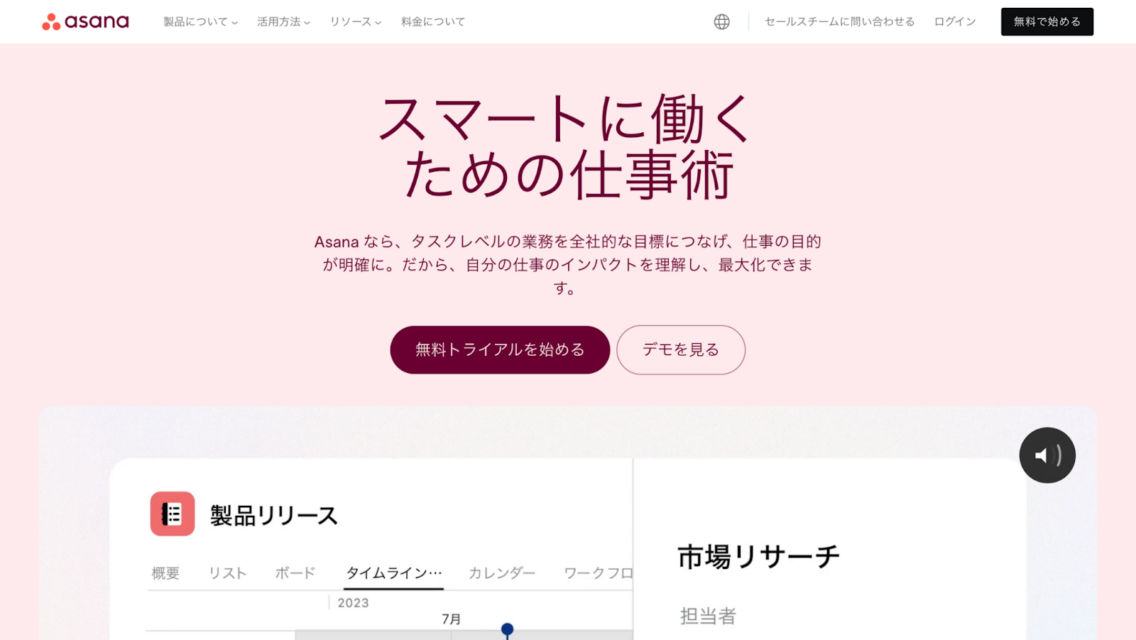 記事内画像