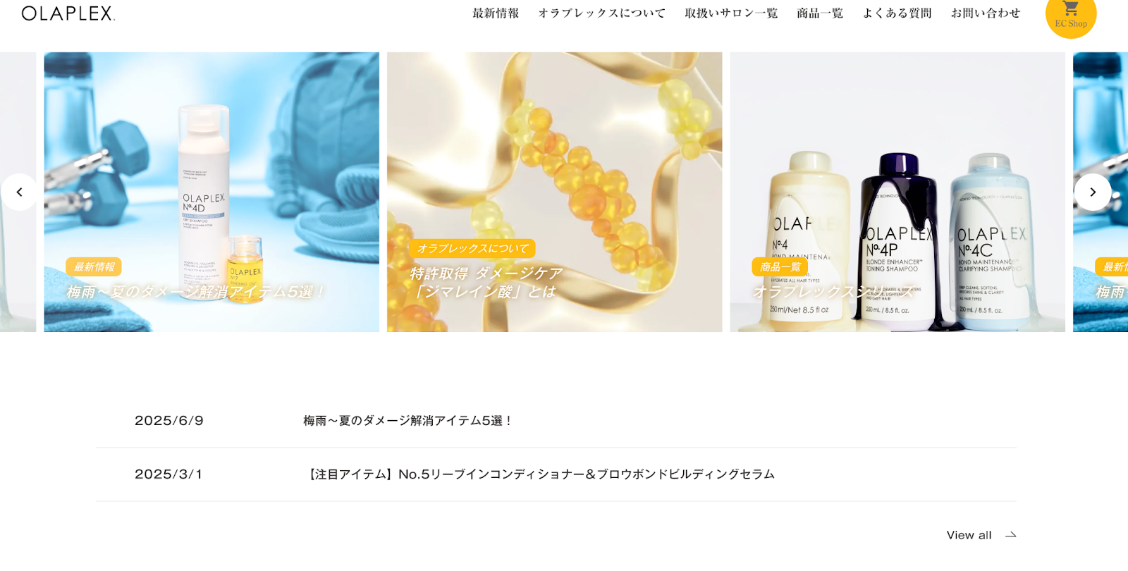記事内画像