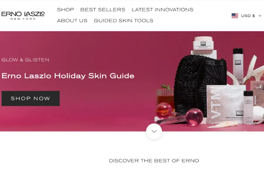 Erno LaszloのWebサイトページ