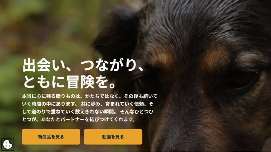 記事内画像