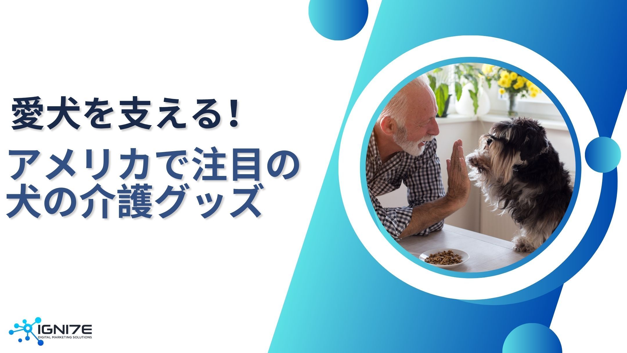 愛犬のシニアライフを支える！アメリカで話題の犬用介護グッズ8選【2025年最新版】｜海外市場分析