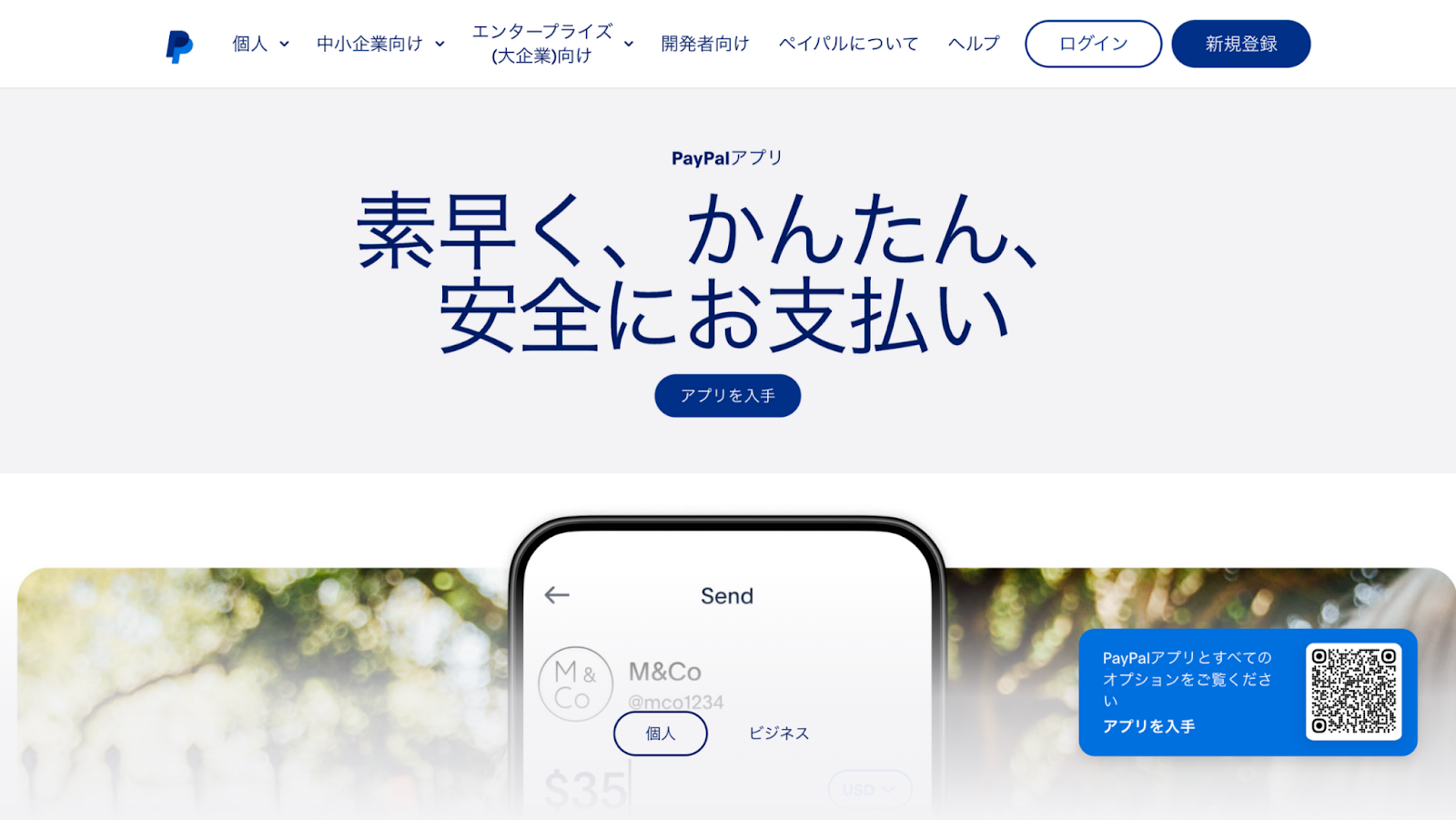 記事内画像