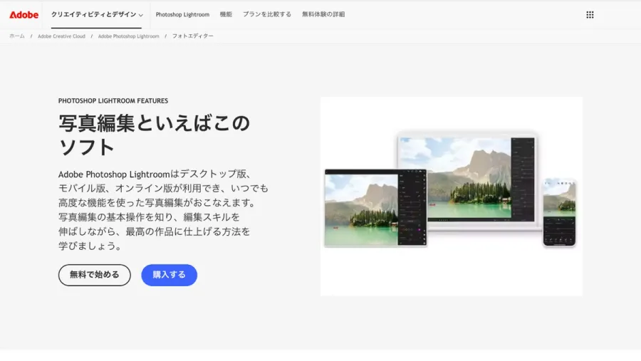 記事内画像