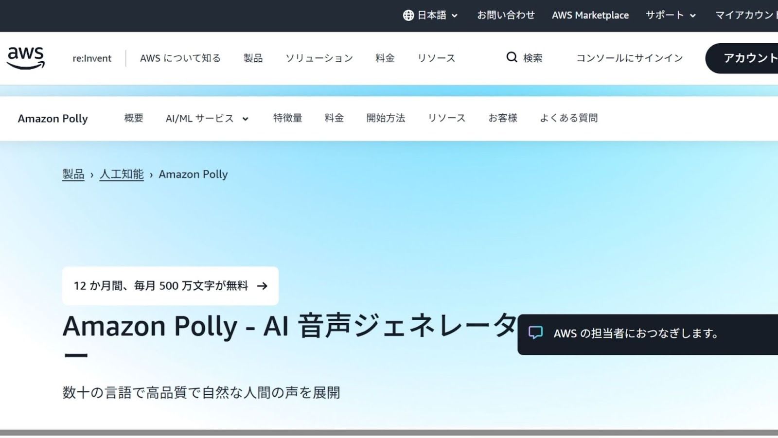 記事内画像
