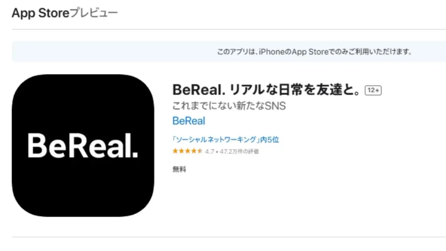 記事内画像