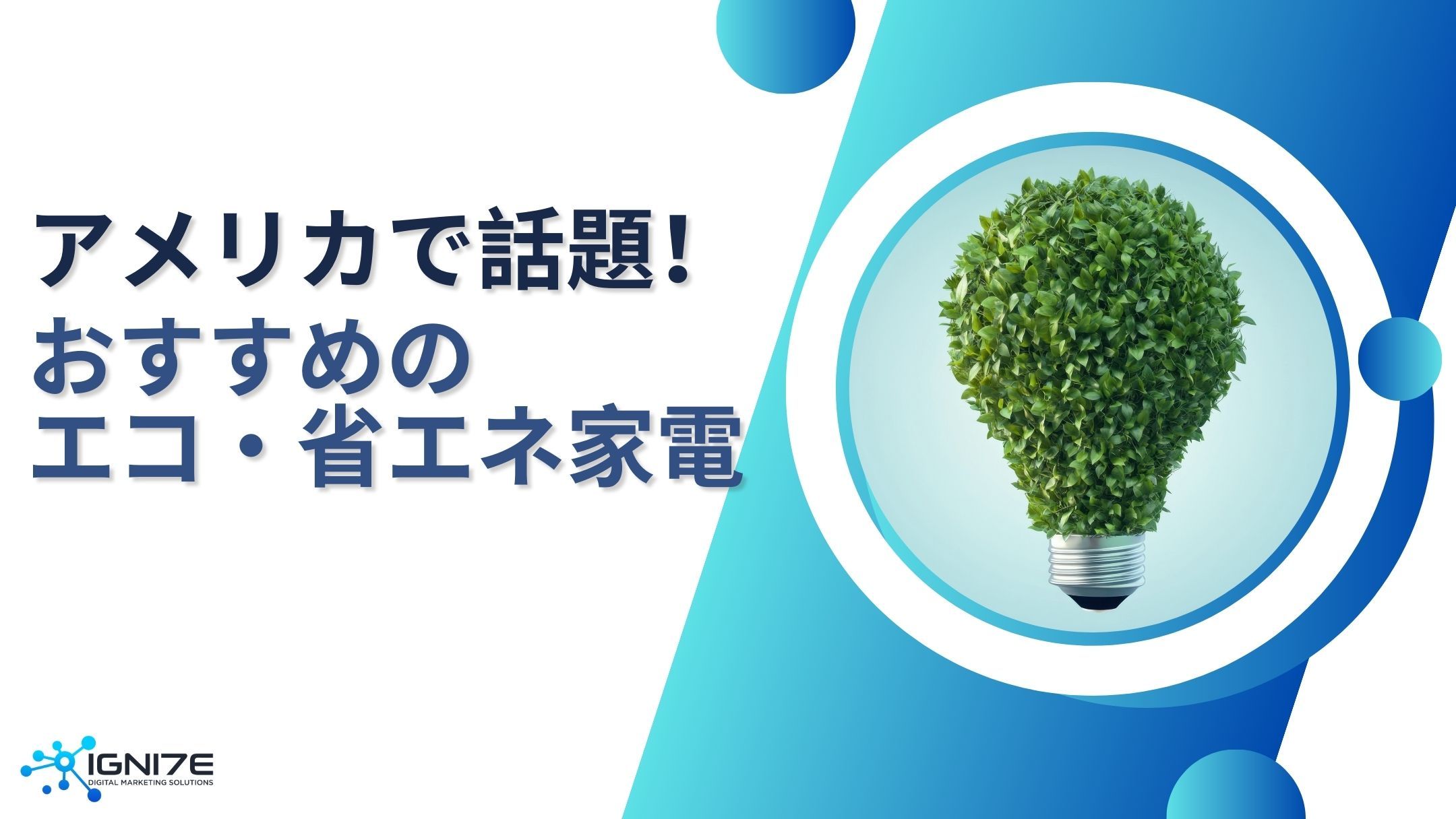 【2025年最新版】アメリカの家庭で使われるエコ・省エネ家電8選｜節約と環境配慮を両立する注目アイテム
