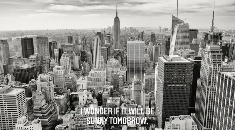 白黒のデザイン