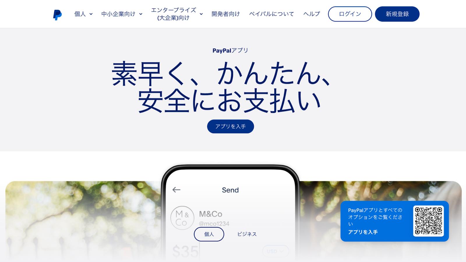 記事内画像
