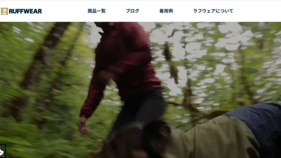記事内画像