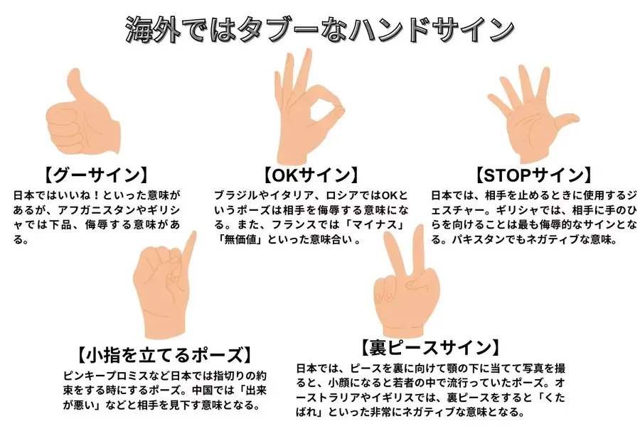 記事内画像