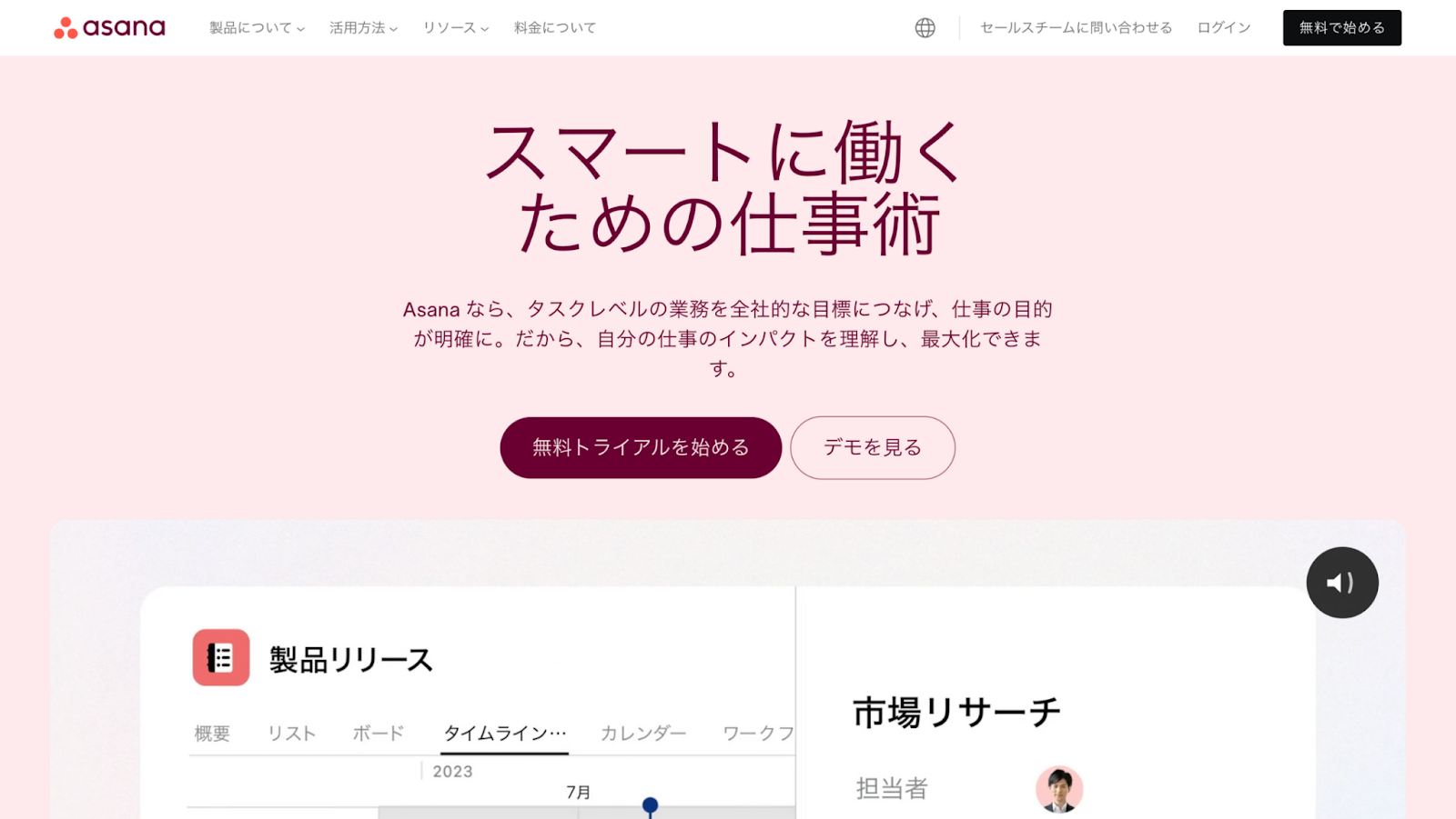 記事内画像
