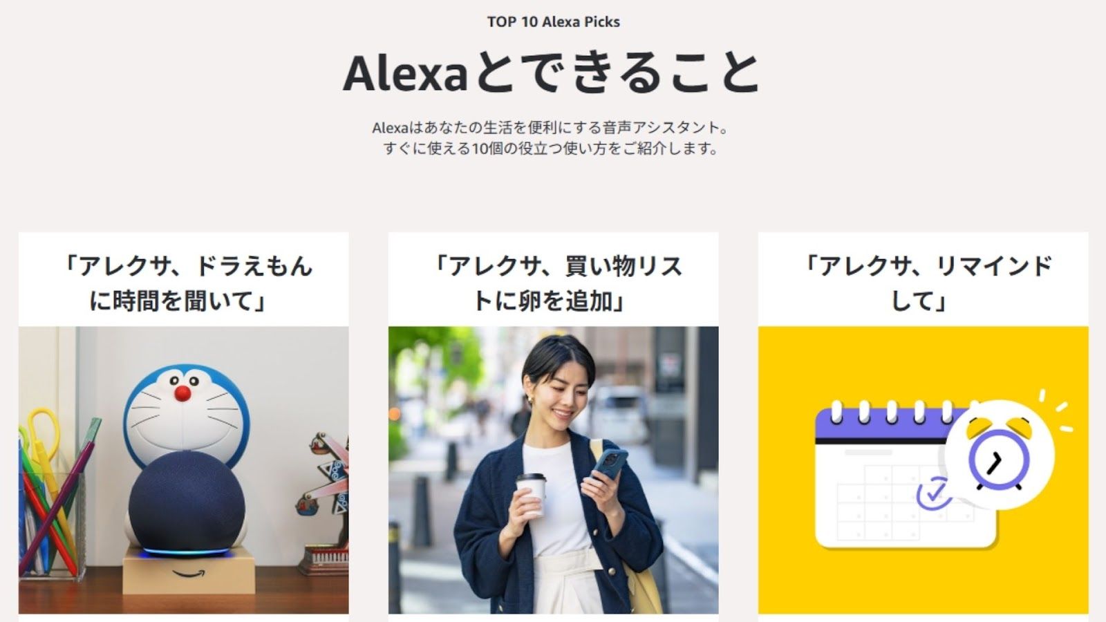 記事内画像