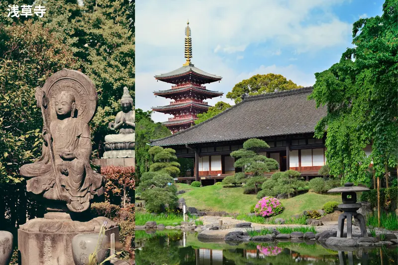 浅草寺の参考画像