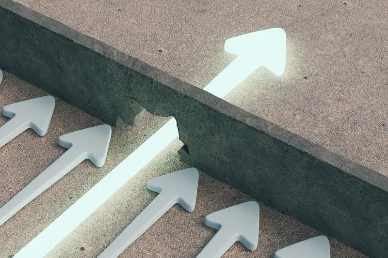 __wf_reserved_decorative