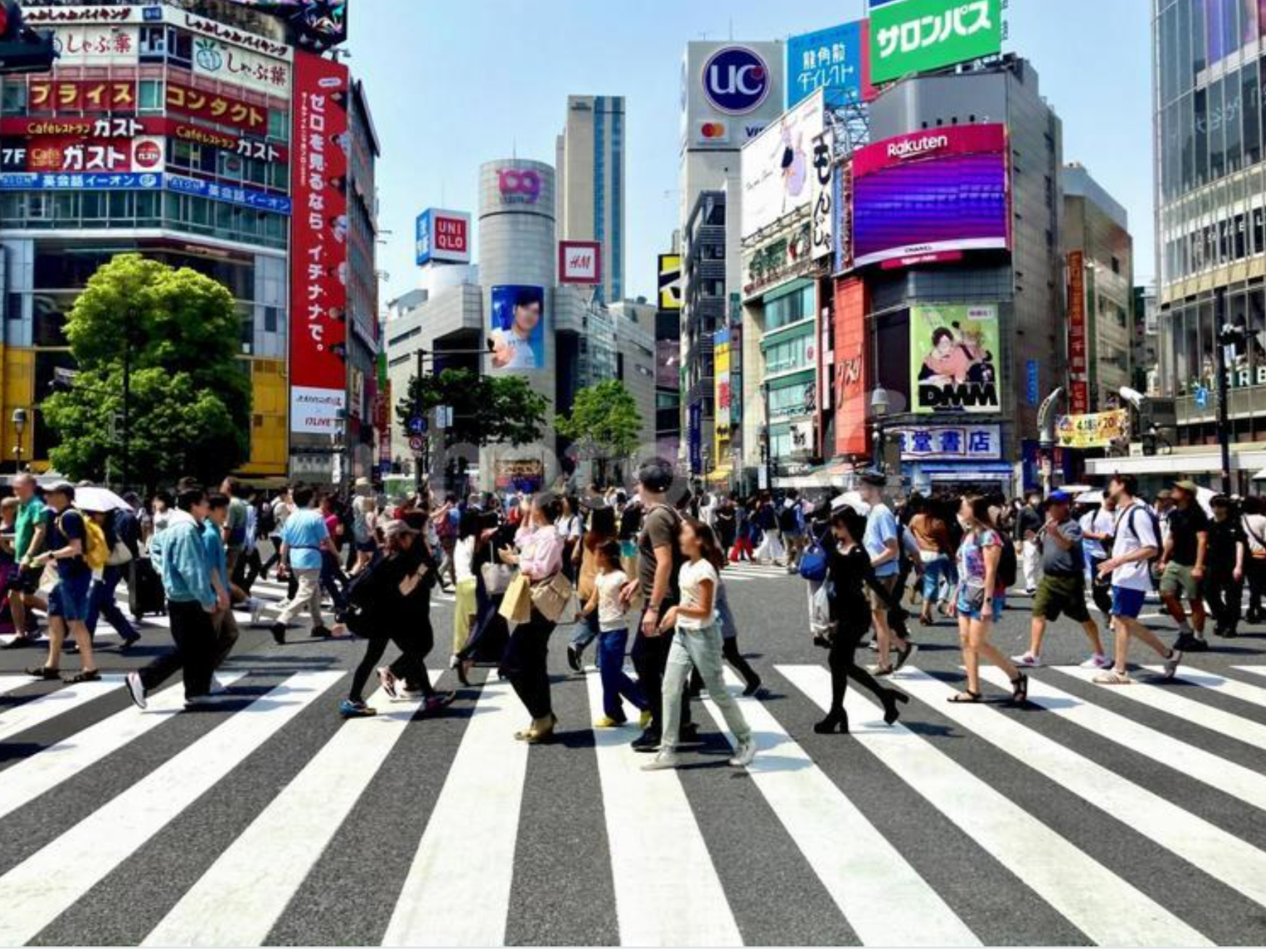 記事内画像