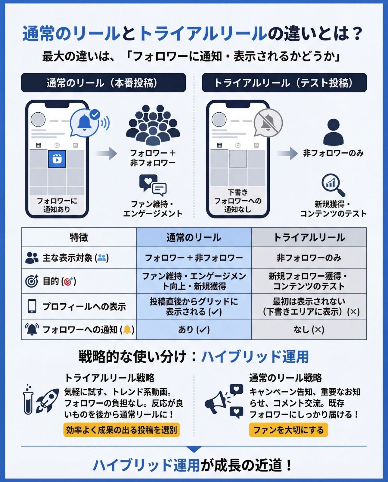 記事内画像