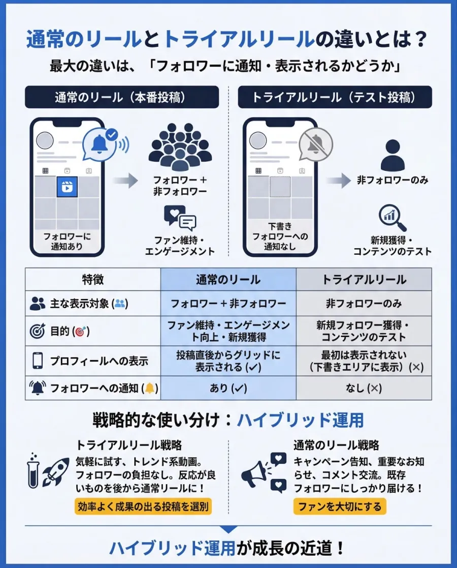 記事内画像