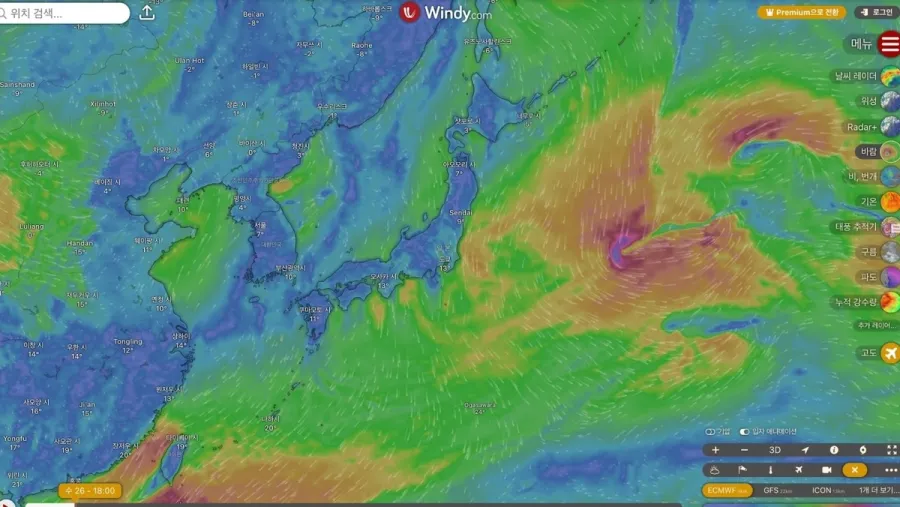 記事内画像