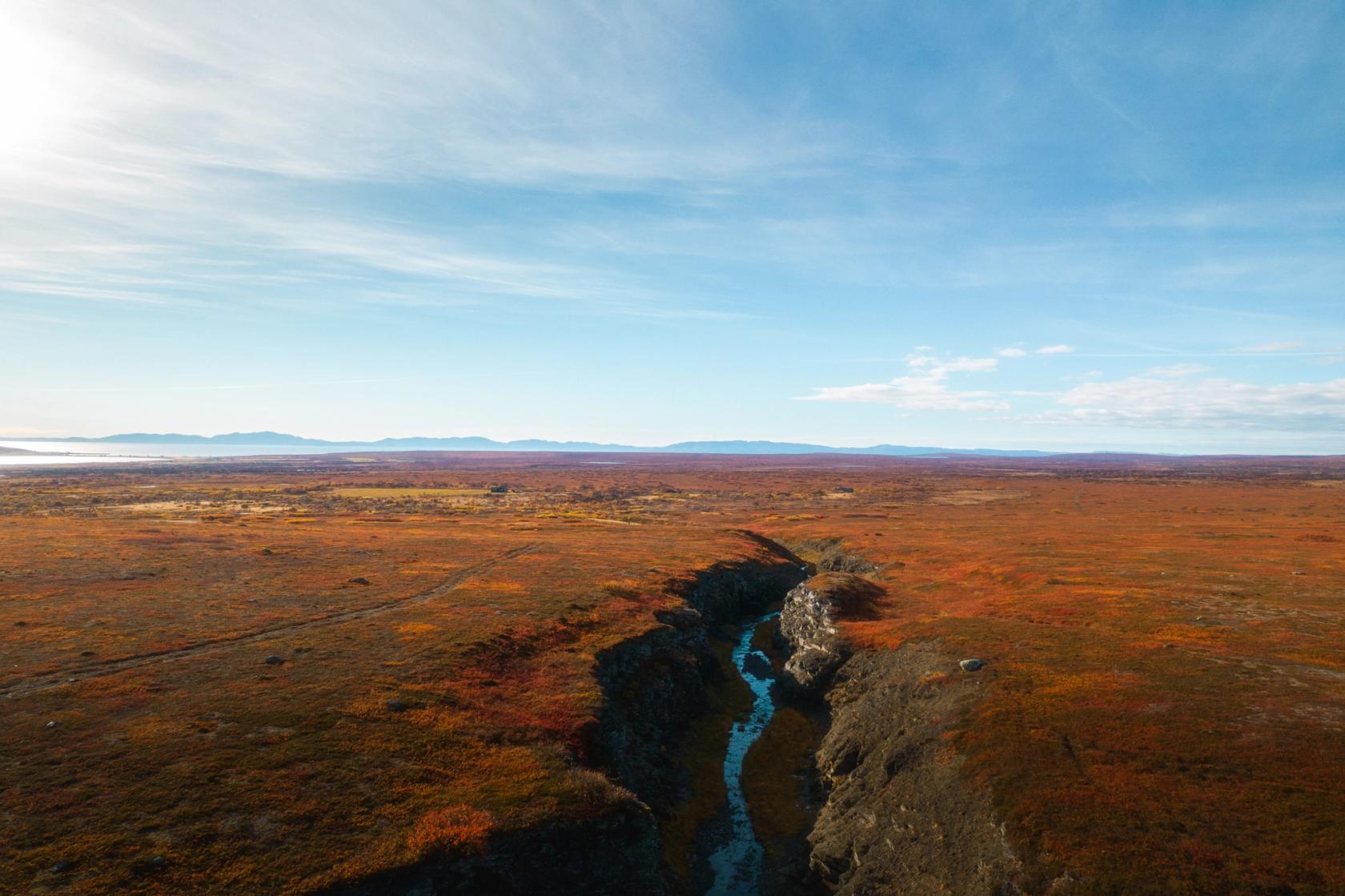 Reinen trives godt på de åpne vakre landområdene i Finnmark. 
