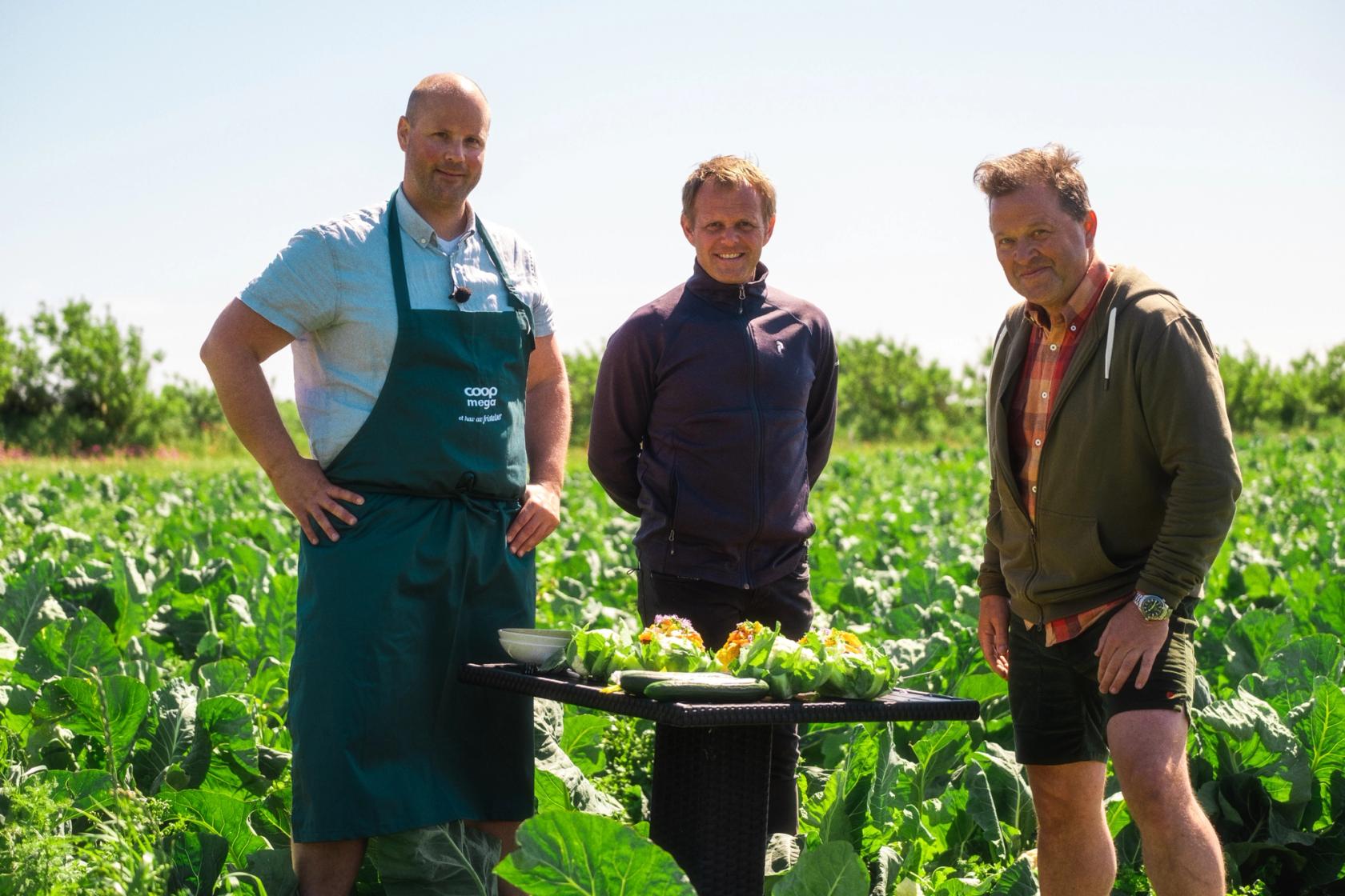 Jone Wiig dyrker agurk, blomkål, gulrøtter og Nordens appelsin; kålrabi.