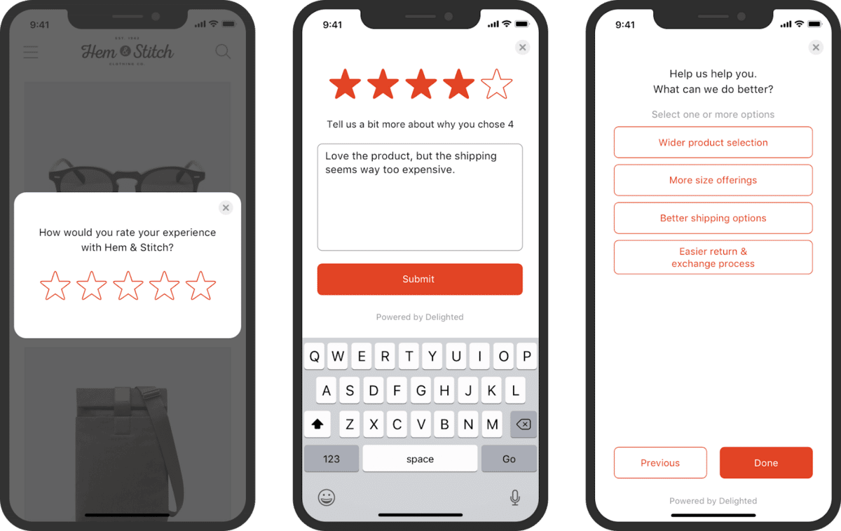 Regpack screenshot: Satisfaction Survey Example