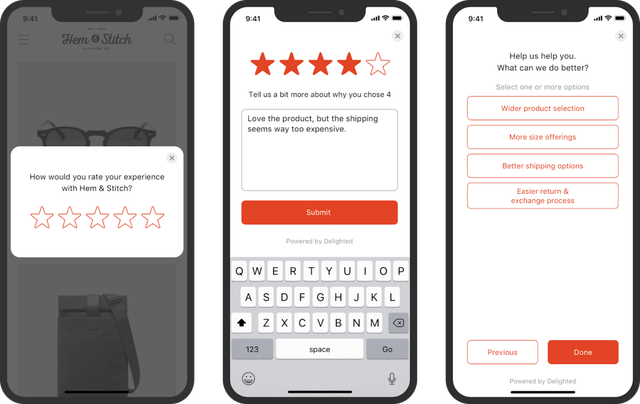 Regpack screenshot: Satisfaction Survey Example