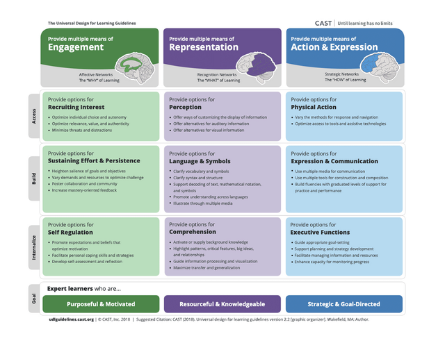 Infographic summarizing the Universal Design for Learning: Engagement, Representation, and Action & Engagement