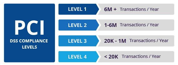 DSS Compliance Levels