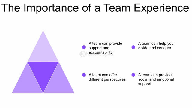 The Importance Of A Team Experience