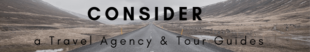 tour guides and travel agency options for mission trip to israel