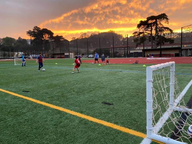soccer insight _ 2